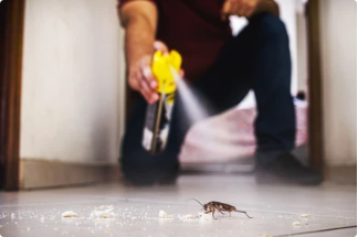 Solventes de insecticidas de aerosol que debe conocer
