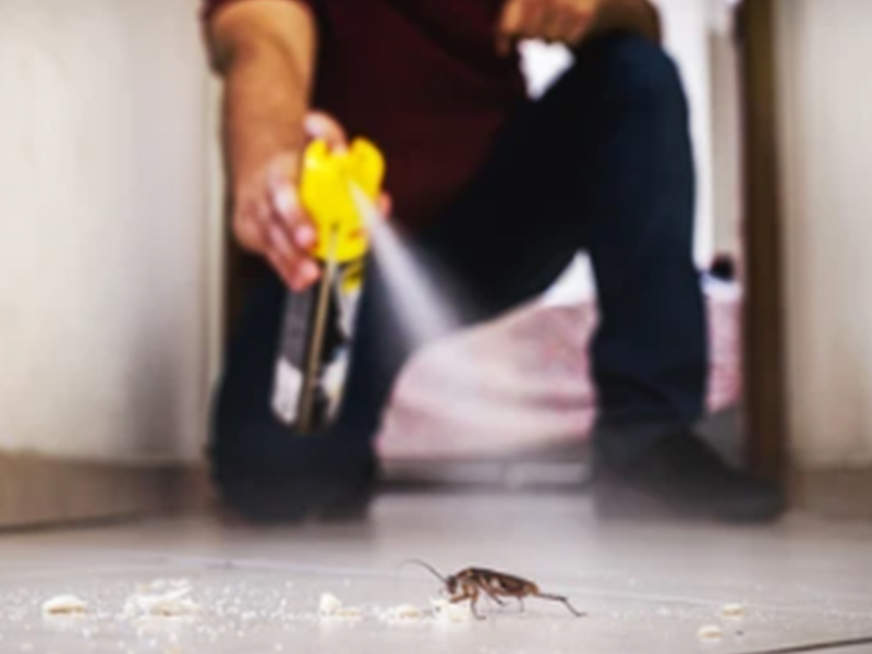 Máquinas y soluciones de producción y llenado de insecticidas.